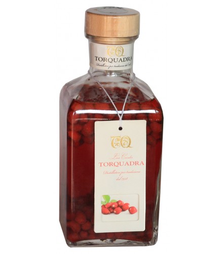 Torfrutta - Wild strawberry 500ml