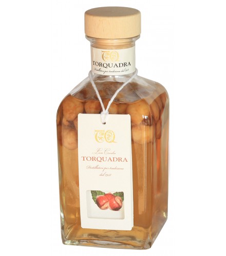 Torfrutta - Hazelnut 500ml